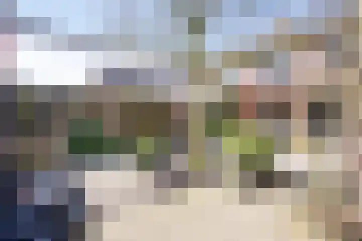 Molenakkers 11 Vorstenbosch thumbnail 35
