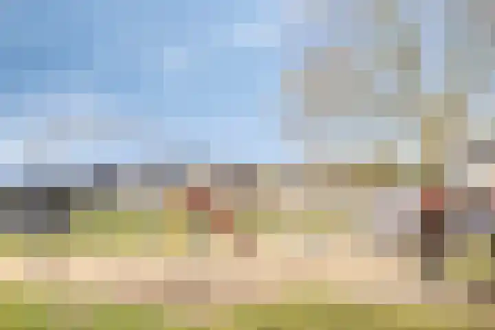 Molenakkers 11 Vorstenbosch thumbnail 38