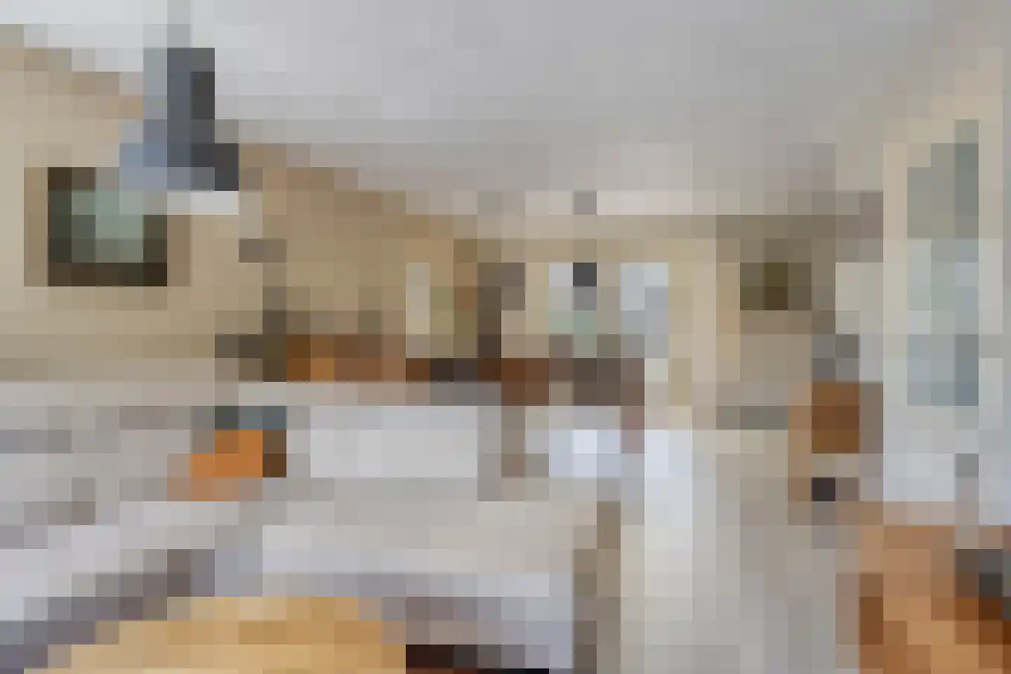 Molenakkers 18 Annen thumbnail 10