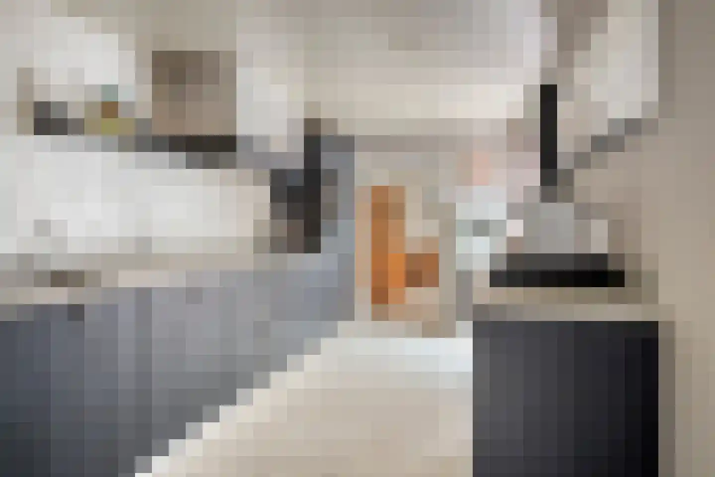 Molenakkers 18 Annen thumbnail 18