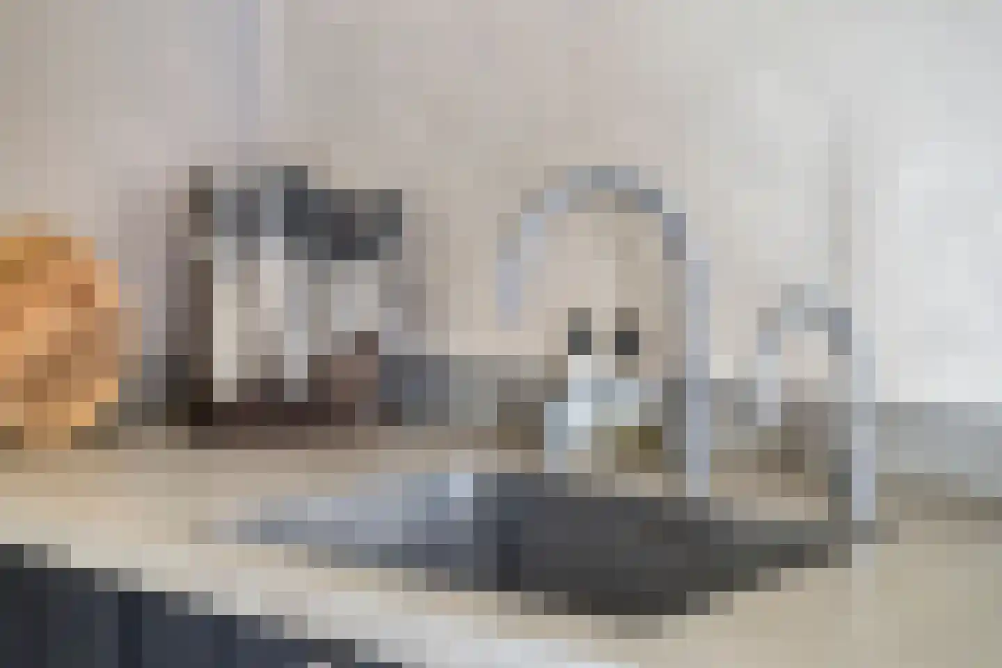 Molenakkers 18 Annen thumbnail 19