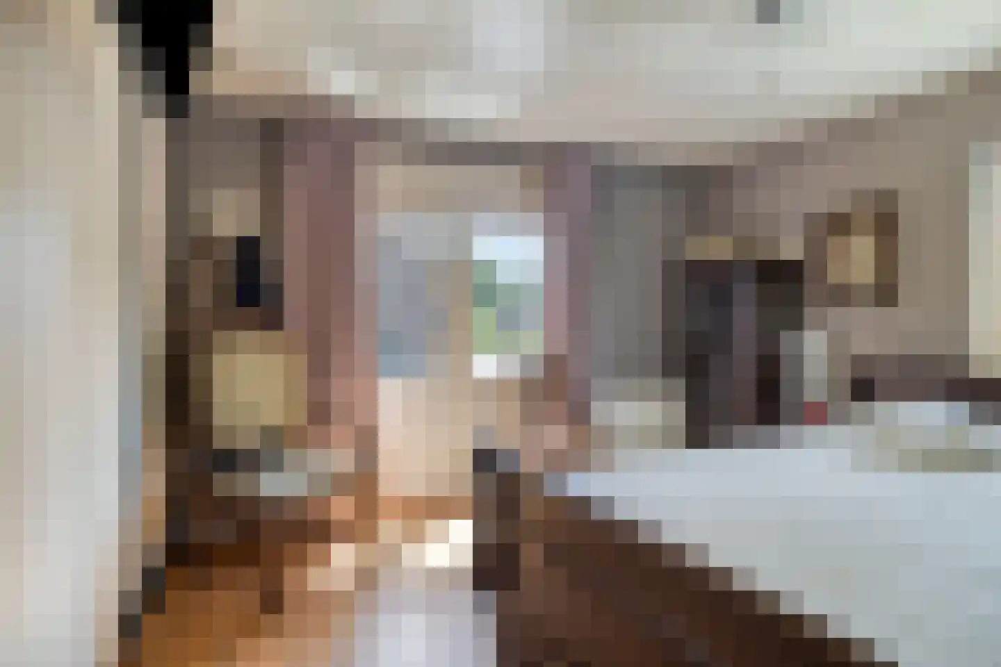 Molenakkers 18 Annen thumbnail 33