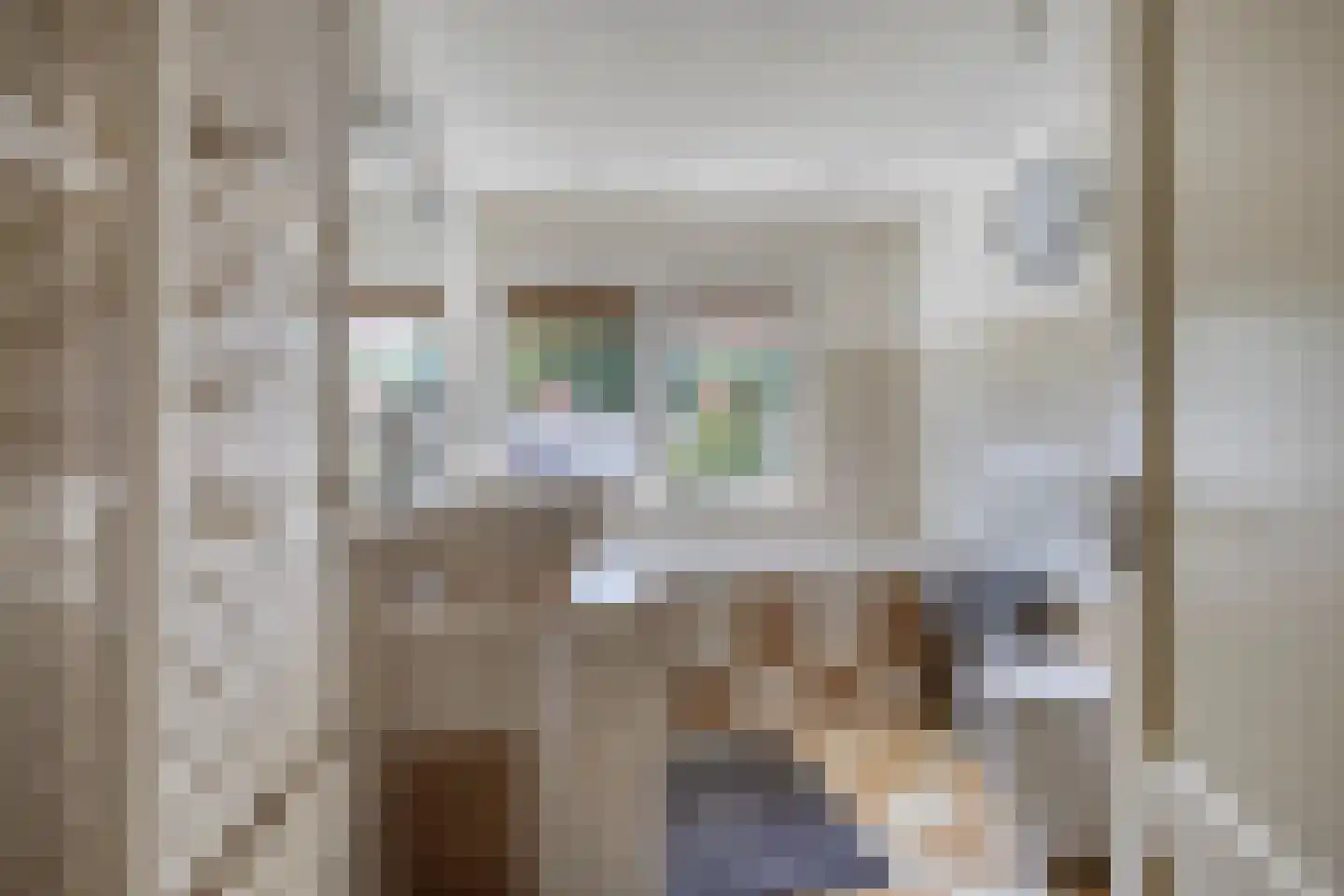 Molenakkers 18 Annen thumbnail 37
