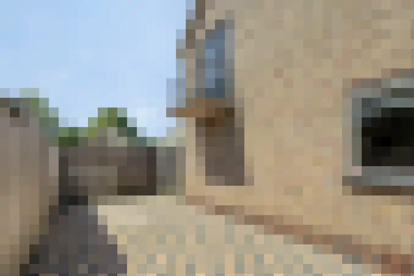 Molenakkers 18 Annen thumbnail 55