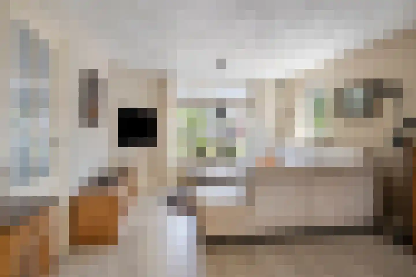 Molenakkers 18 Annen thumbnail 6