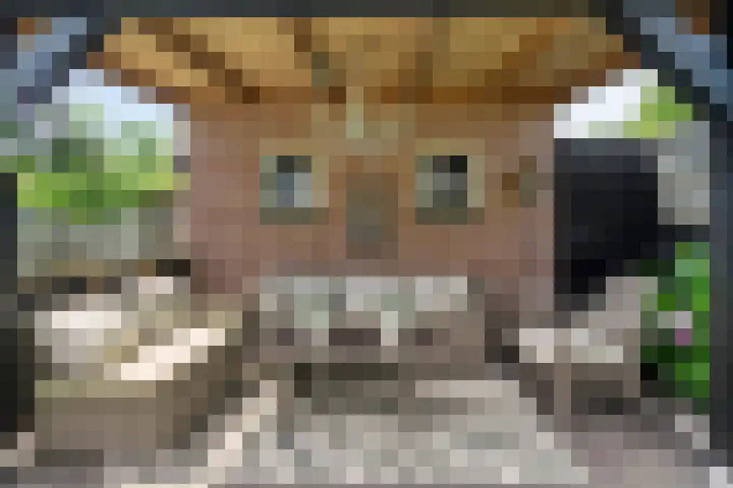 Molenakkers 18 Annen thumbnail 65