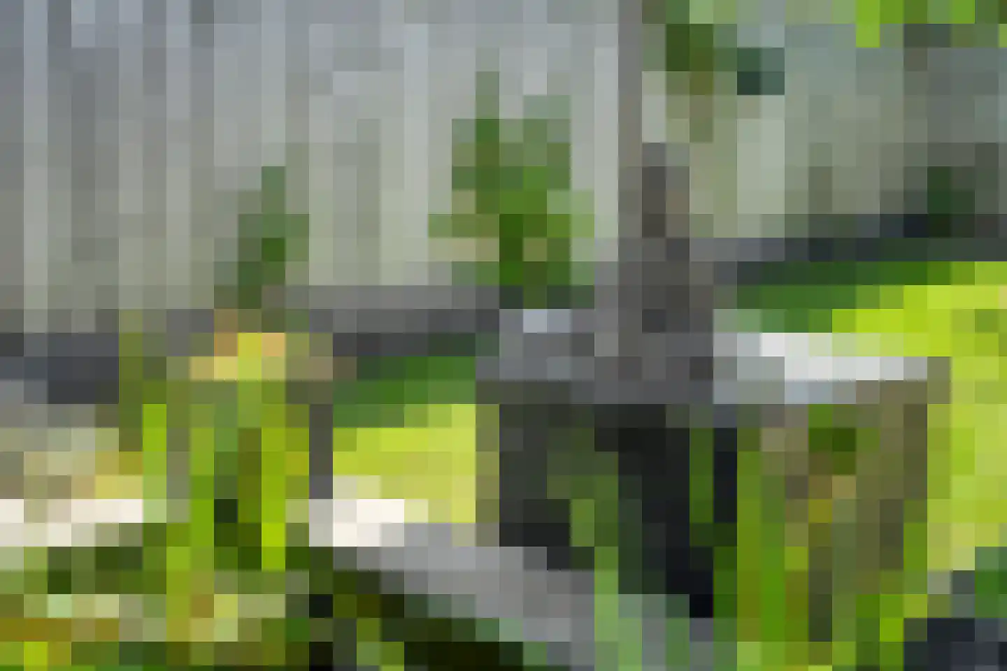 Molenakkers 18 Annen thumbnail 68