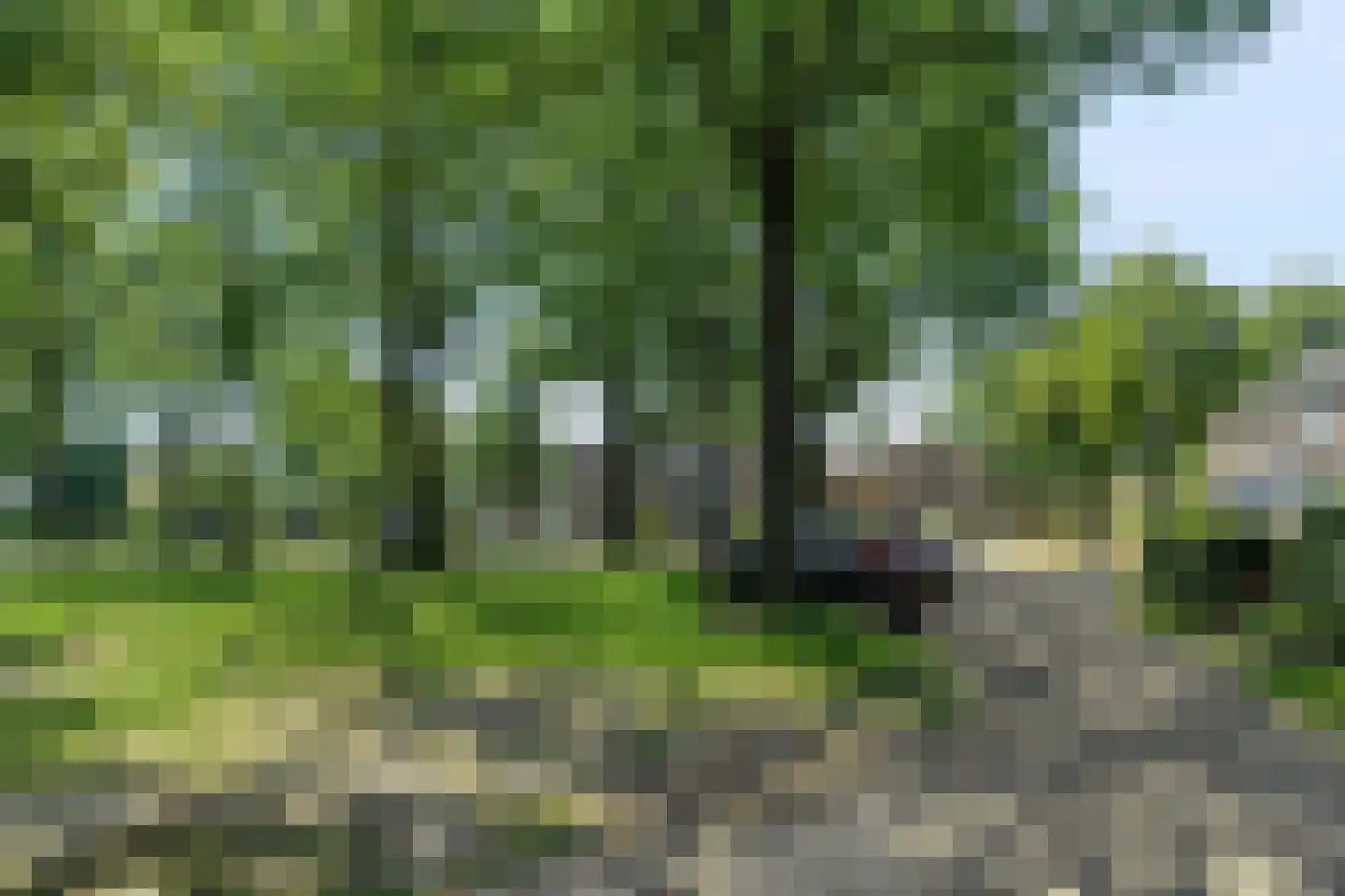 Molenakkers 18 Annen thumbnail 78
