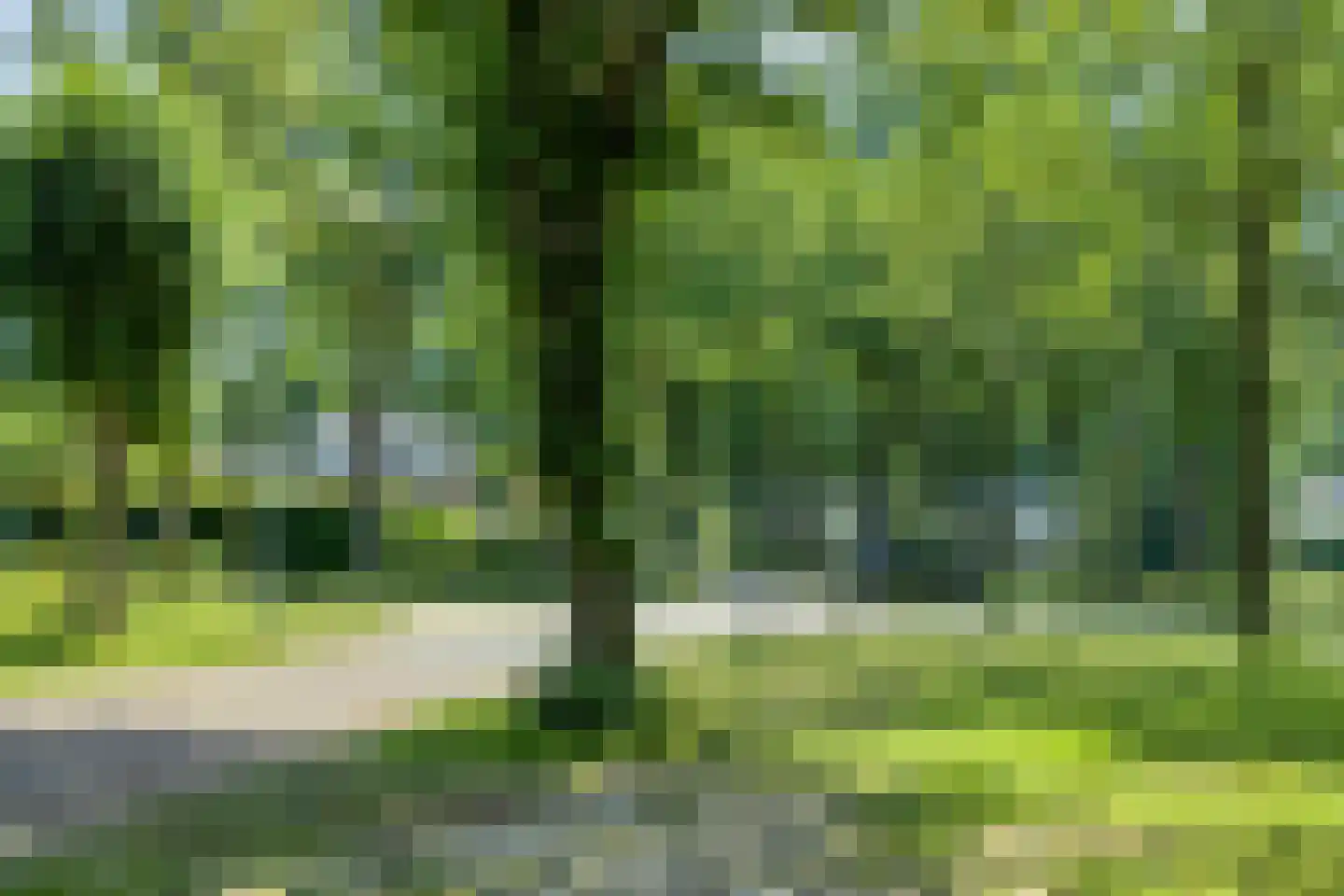Molenakkers 18 Annen thumbnail 80