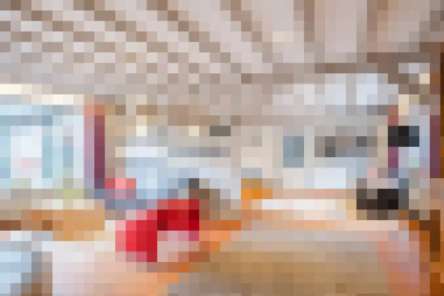 Molenakkers 20 Eersel thumbnail 13