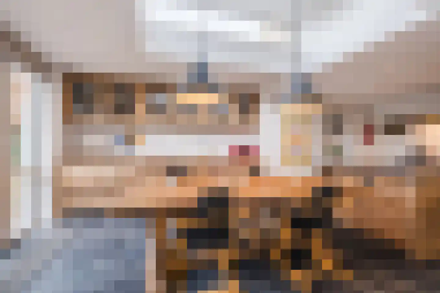 Molenakkers 20 Eersel thumbnail 15