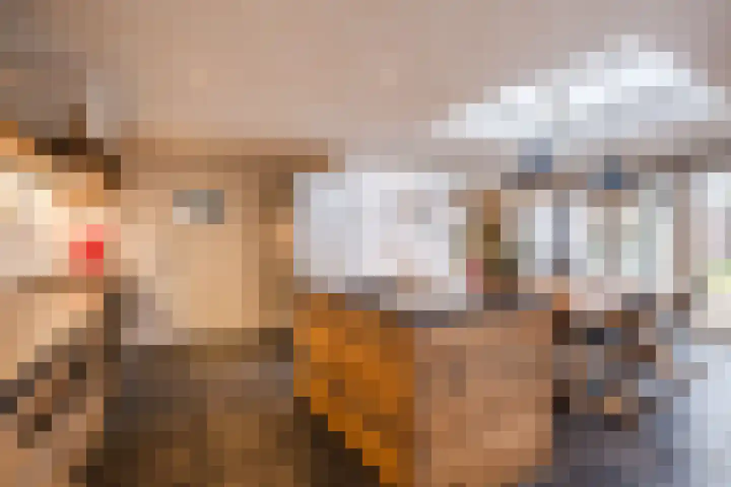 Molenakkers 20 Eersel thumbnail 17