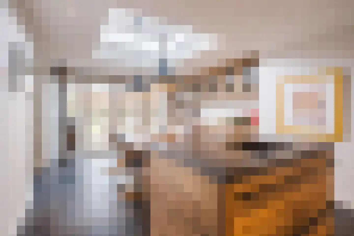 Molenakkers 20 Eersel thumbnail 18