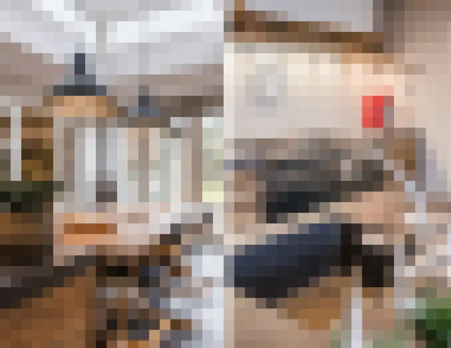 Molenakkers 20 Eersel thumbnail 19