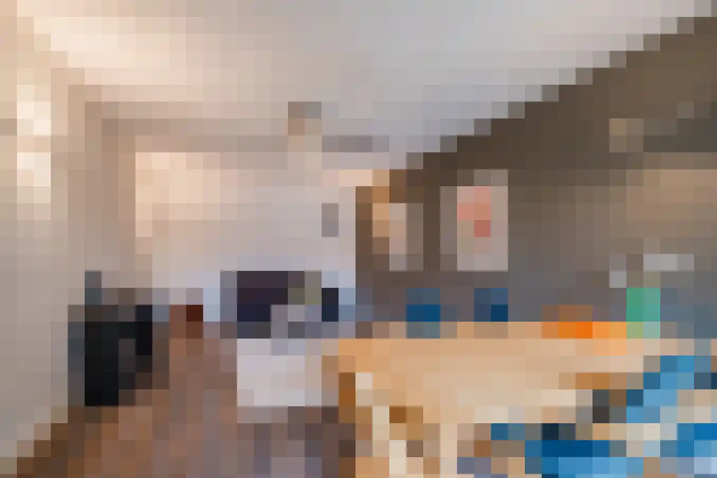 Molenakkers 20 Eersel thumbnail 21