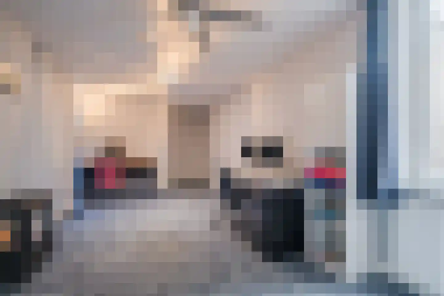 Molenakkers 20 Eersel thumbnail 28