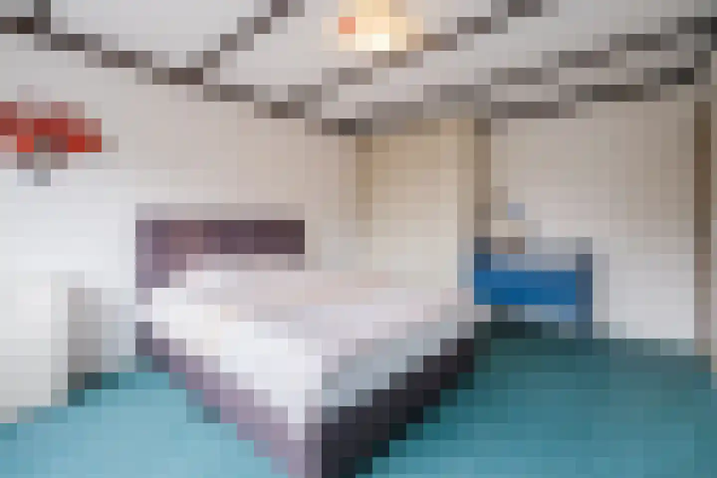 Molenakkers 20 Eersel thumbnail 33
