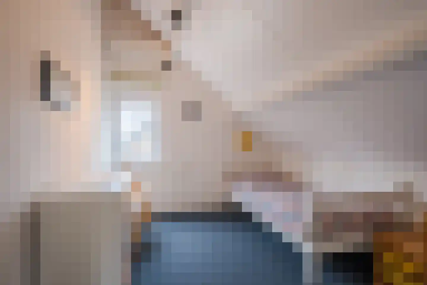 Molenakkers 20 Eersel thumbnail 44