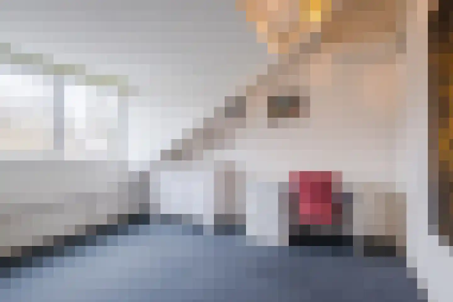 Molenakkers 20 Eersel thumbnail 48