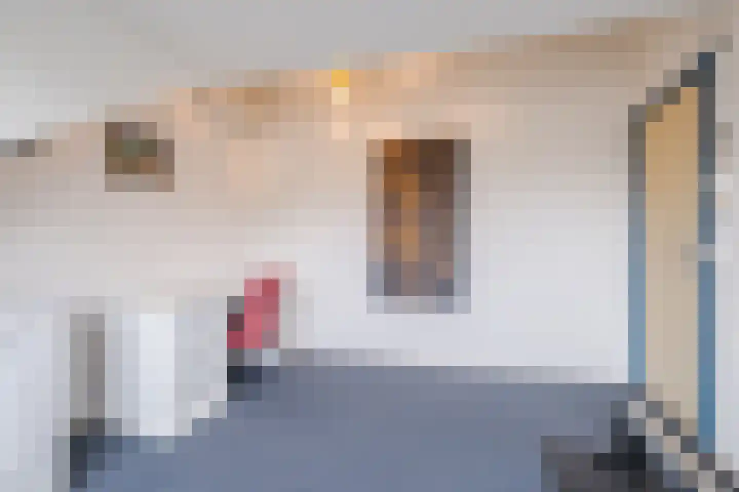 Molenakkers 20 Eersel thumbnail 50