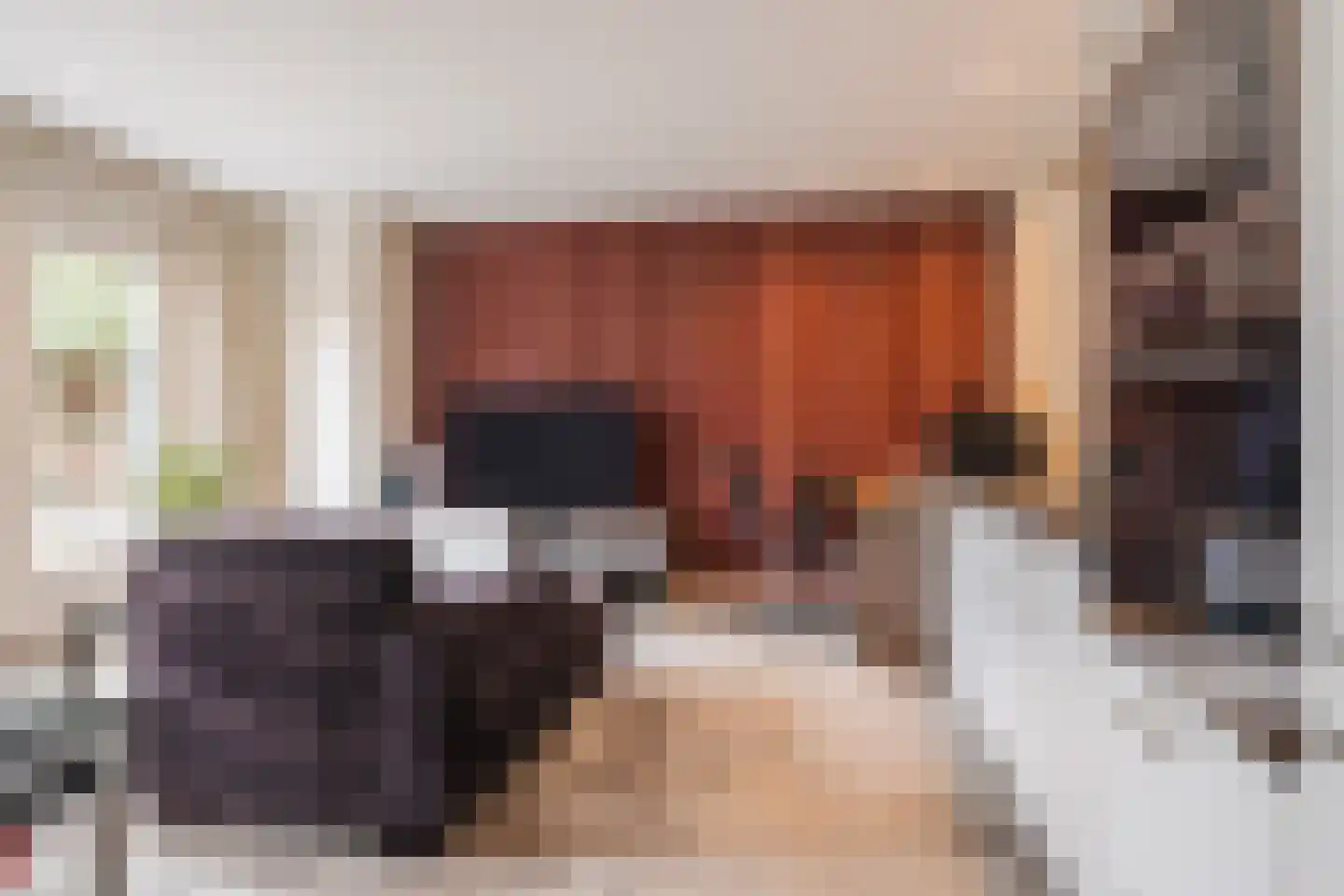 Molenakkers 20 Eersel thumbnail 54