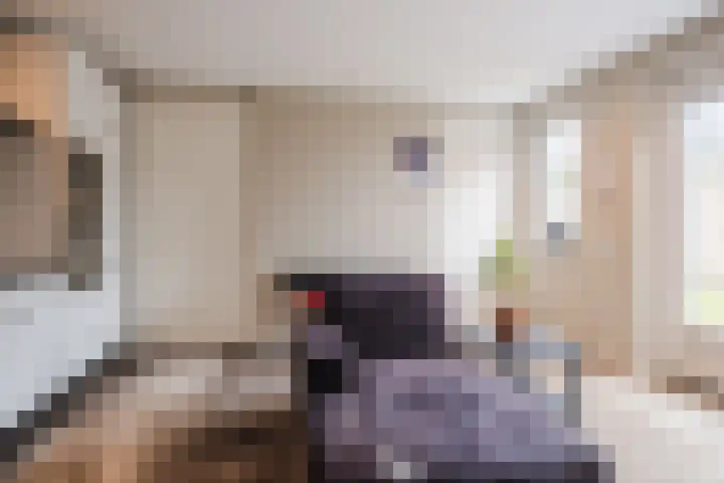 Molenakkers 20 Eersel thumbnail 56