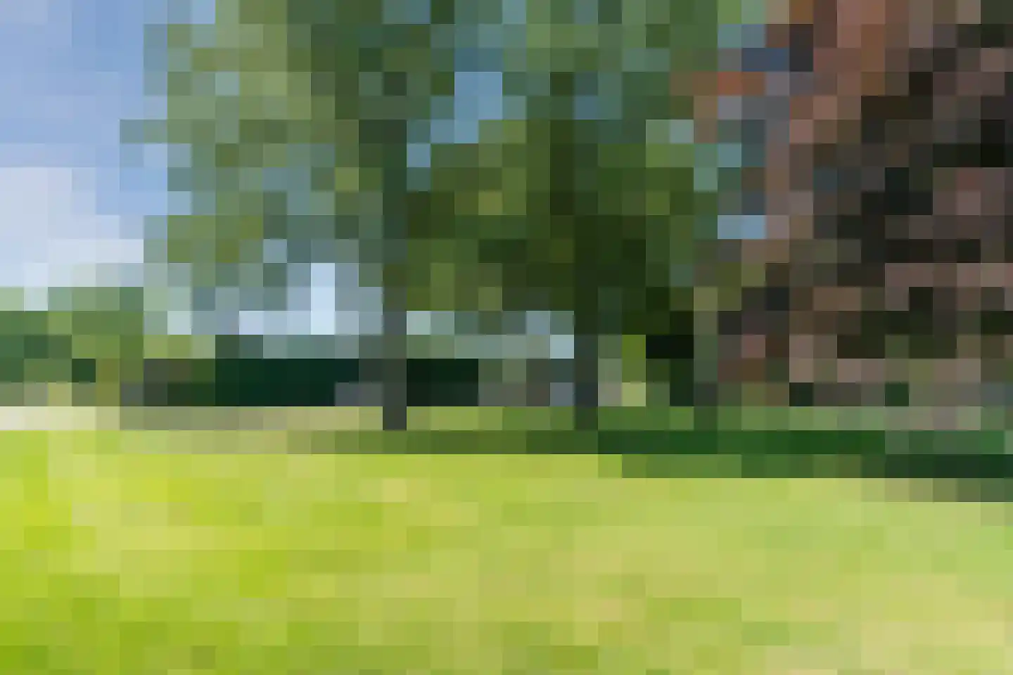 Molenakkers 20 Eersel thumbnail 67