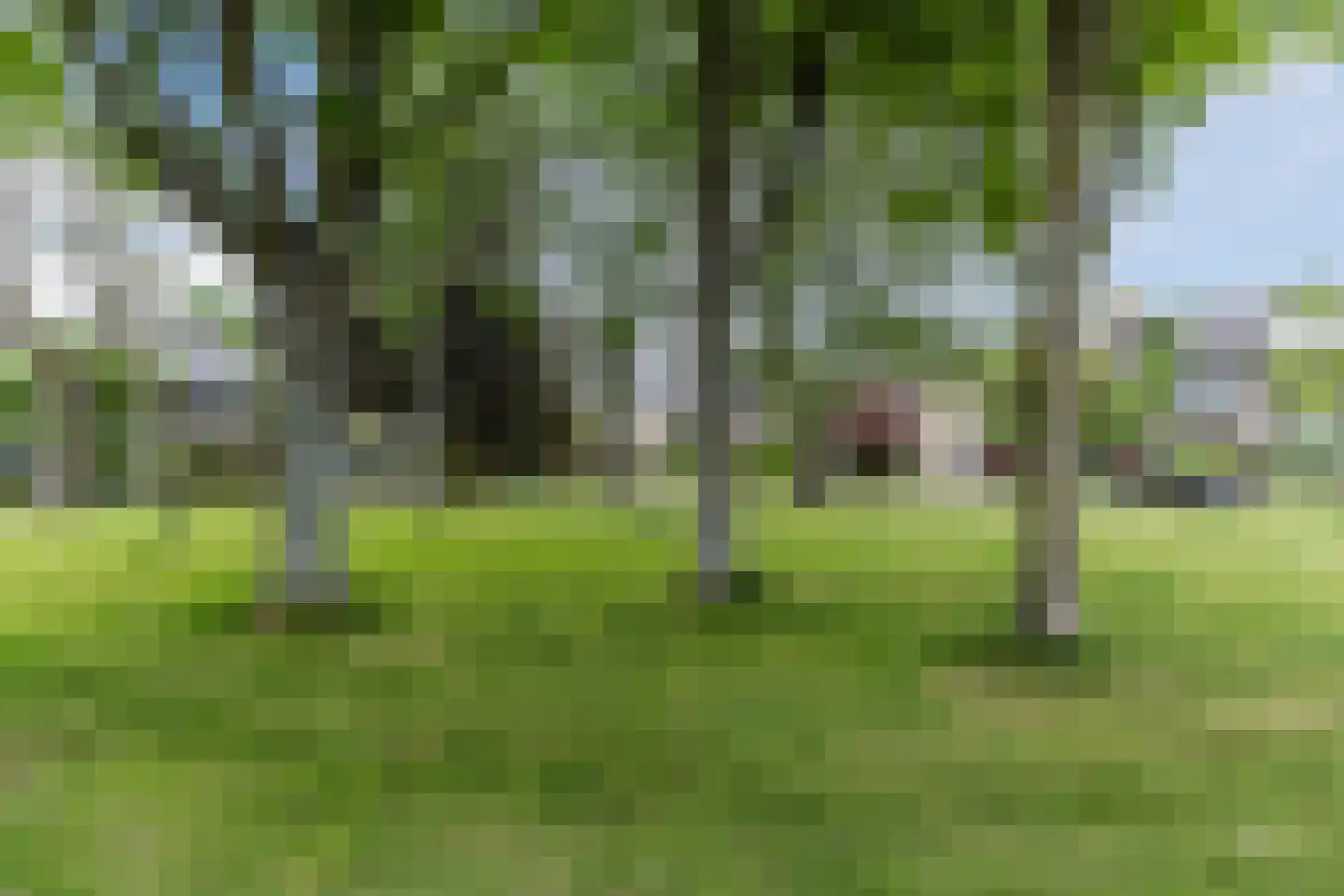 Molenakkers 20 Eersel thumbnail 68