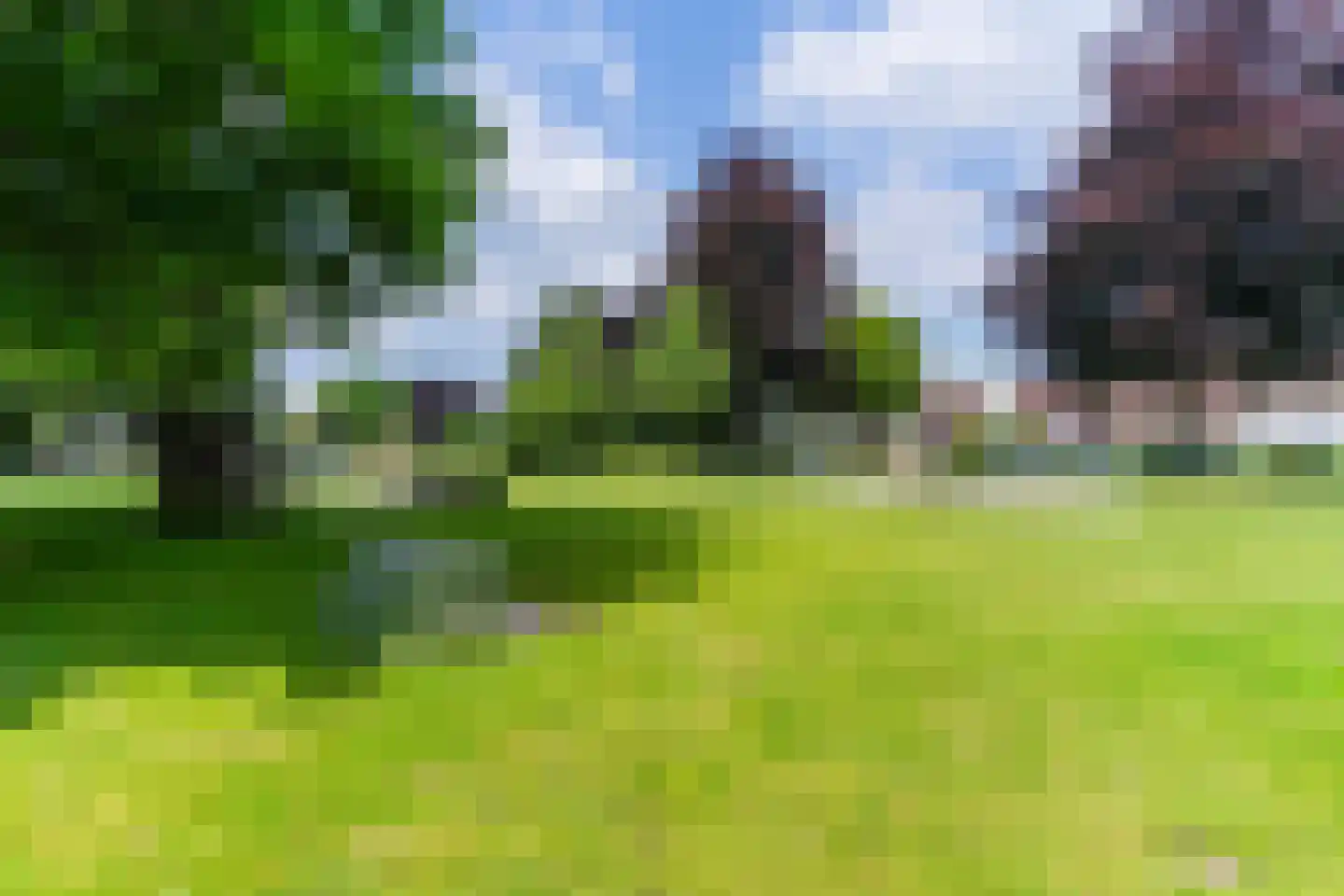 Molenakkers 20 Eersel thumbnail 69