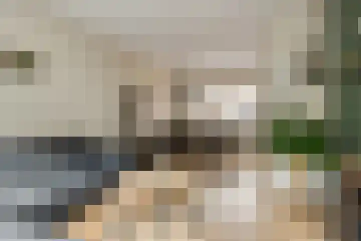 Molenakkers 24 Beilen thumbnail 10