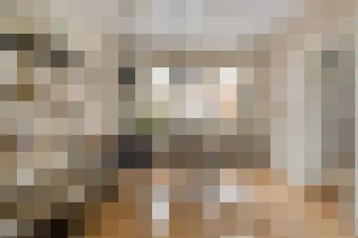 Molenakkers 24 Beilen thumbnail 11