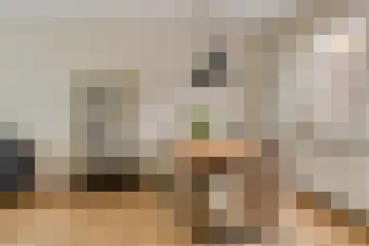 Molenakkers 24 Beilen thumbnail 12