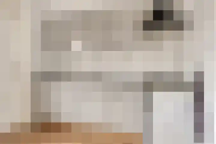 Molenakkers 24 Beilen thumbnail 13