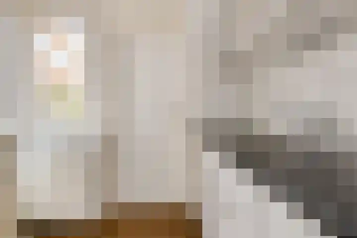 Molenakkers 24 Beilen thumbnail 14