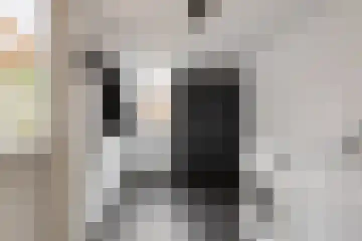 Molenakkers 24 Beilen thumbnail 16