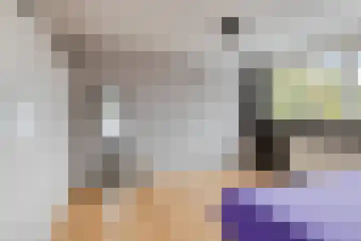 Molenakkers 24 Beilen thumbnail 23