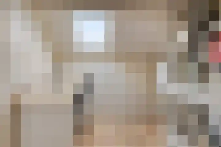 Molenakkers 24 Beilen thumbnail 26