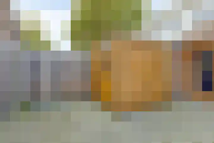 Molenakkers 24 Beilen thumbnail 31