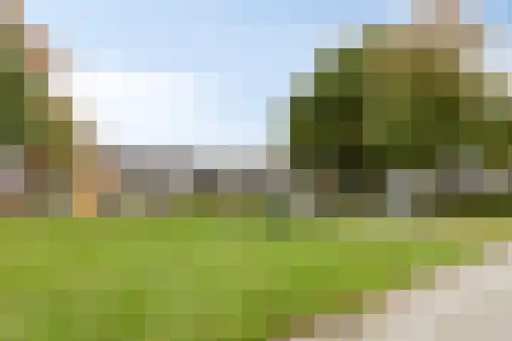 Molenakkers 24 Beilen thumbnail 33