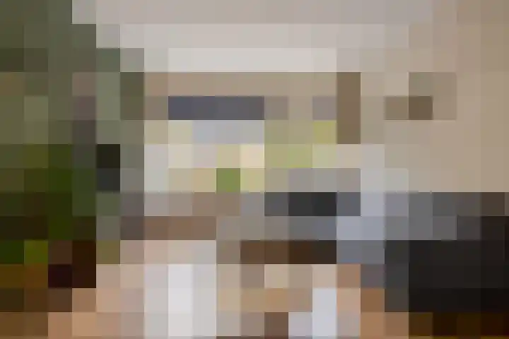 Molenakkers 24 Beilen thumbnail 7