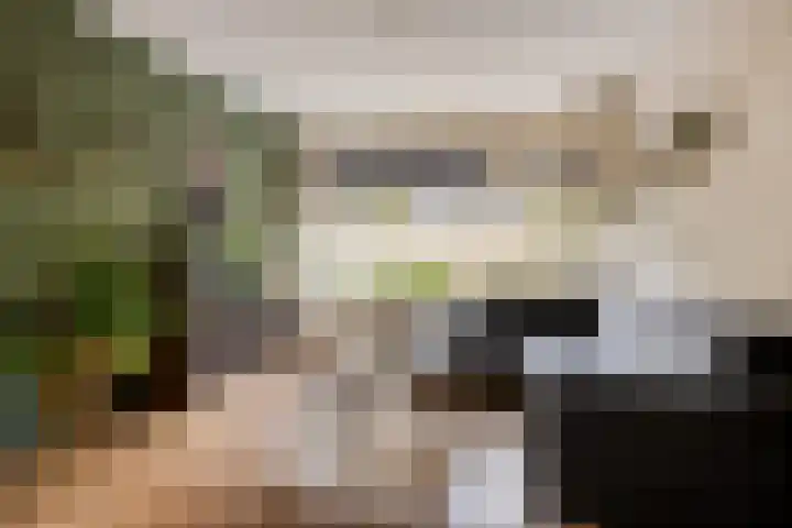 Molenakkers 24 Beilen thumbnail 8