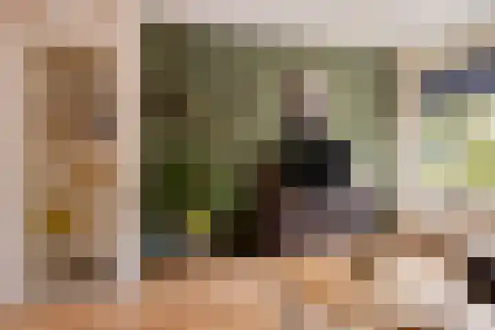 Molenakkers 24 Beilen thumbnail 9
