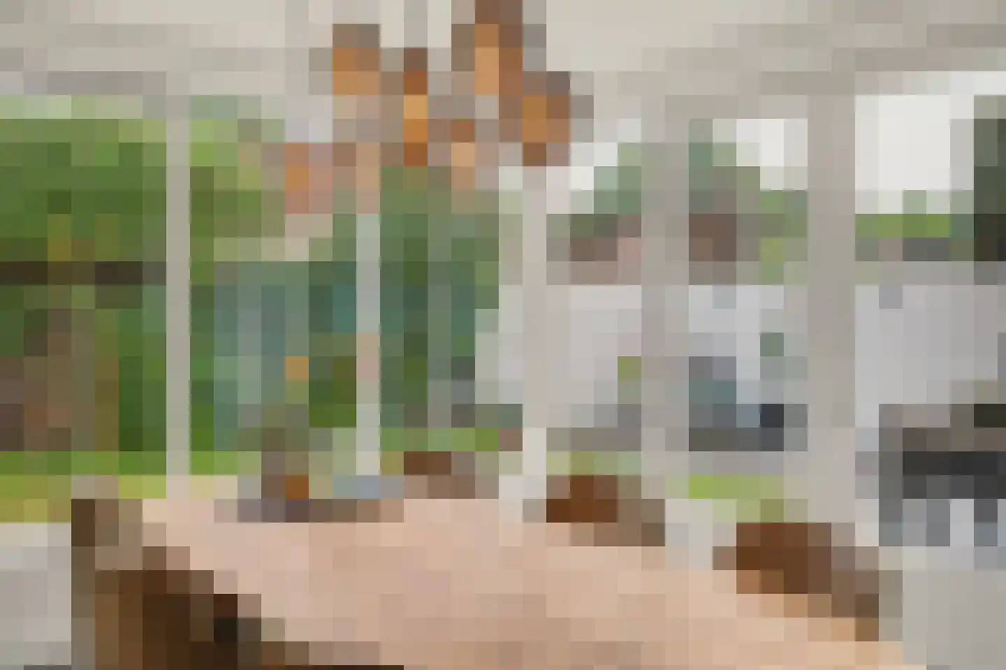 Molenakkers 26 Bergeijk thumbnail 16