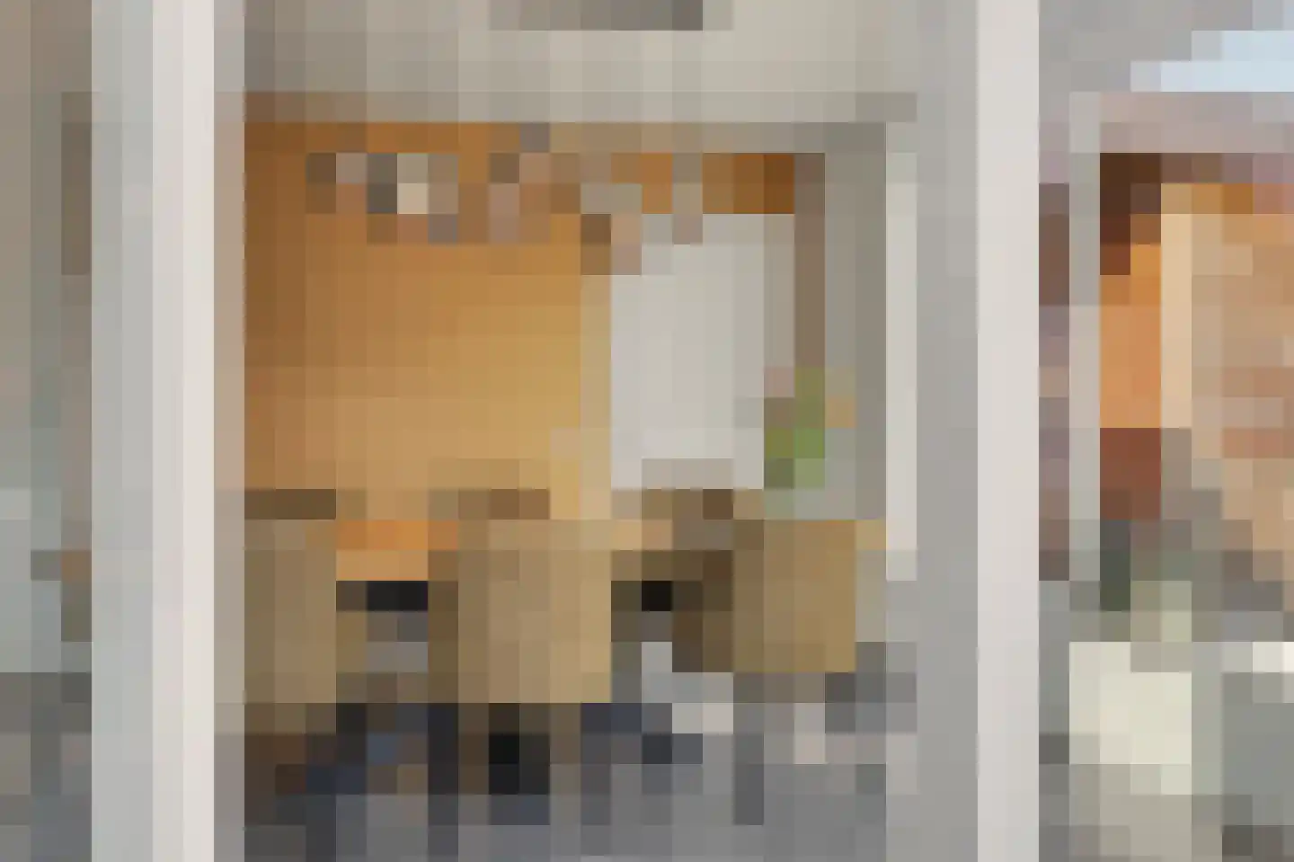 Molenakkers 26 Bergeijk thumbnail 18