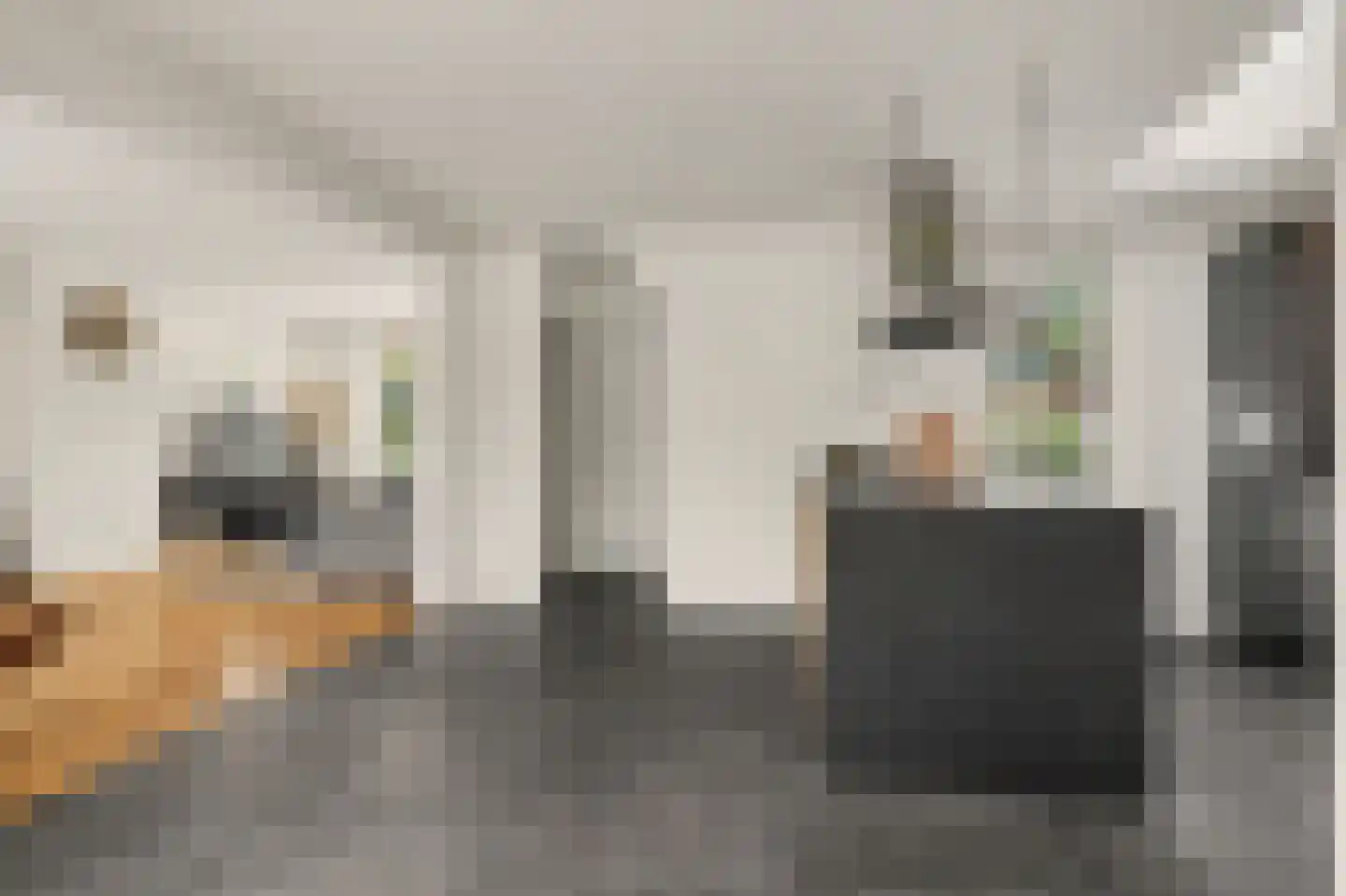 Molenakkers 26 Bergeijk thumbnail 19