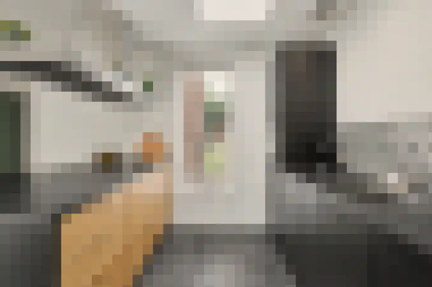 Molenakkers 26 Bergeijk thumbnail 24