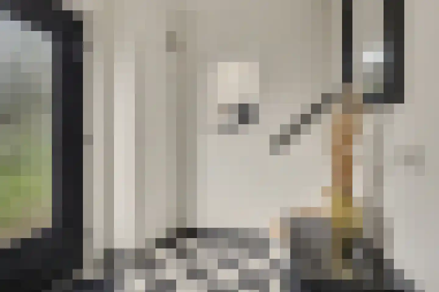Molenakkers 26 Bergeijk thumbnail 28