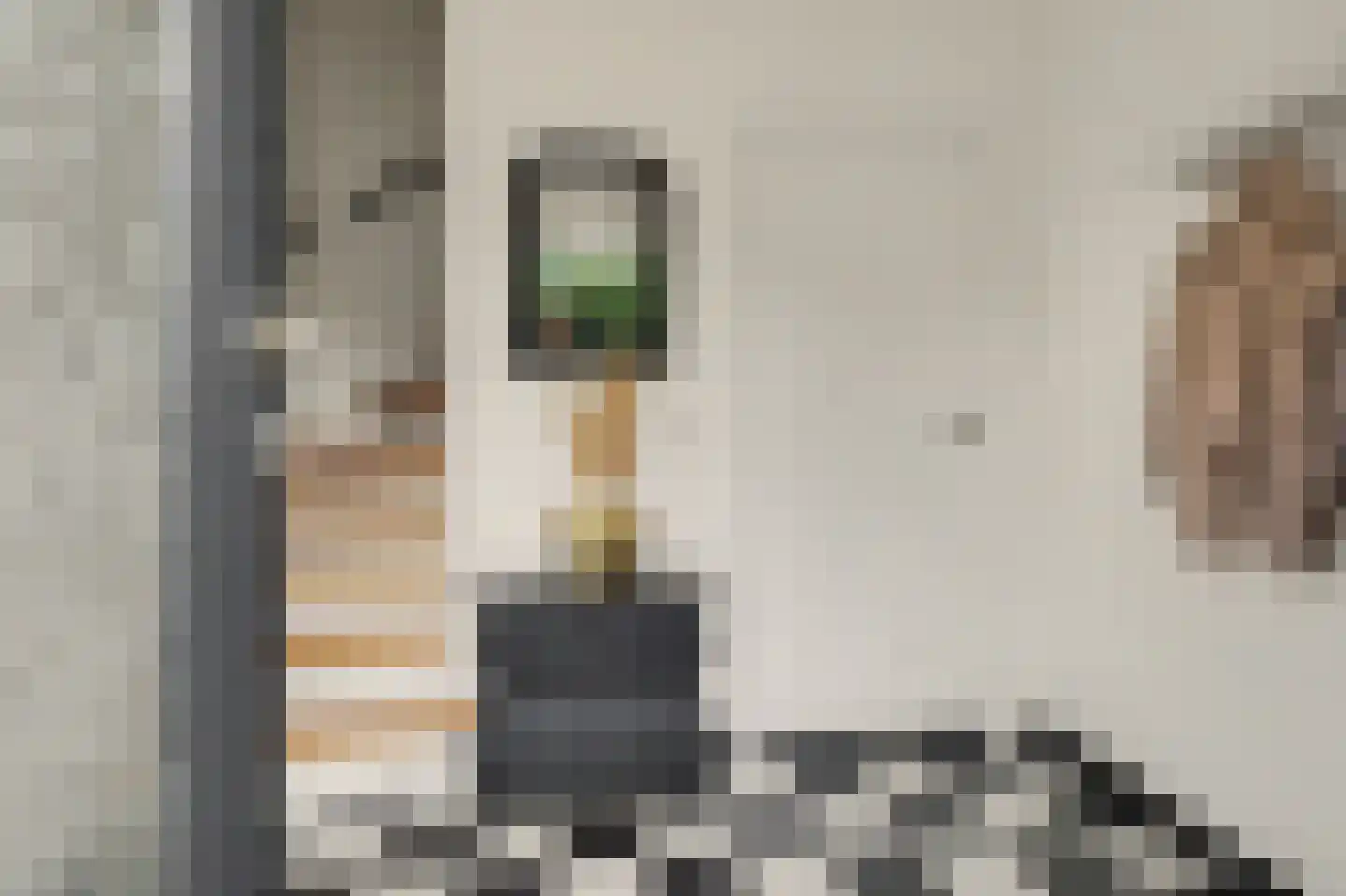 Molenakkers 26 Bergeijk thumbnail 4
