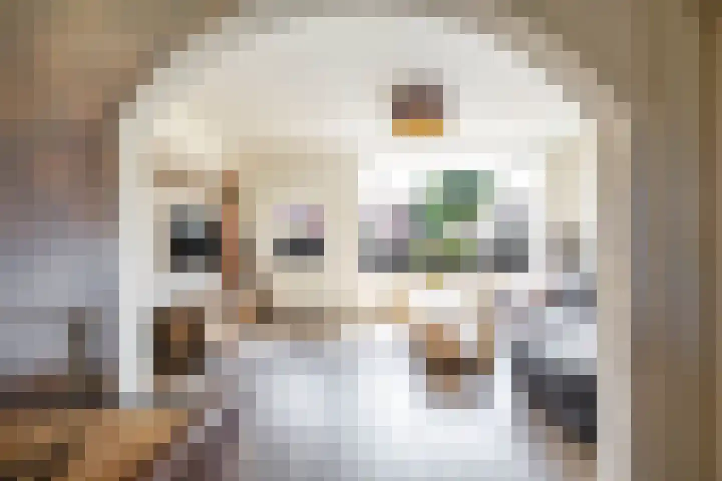 Molenakkers 27 Annen thumbnail 13