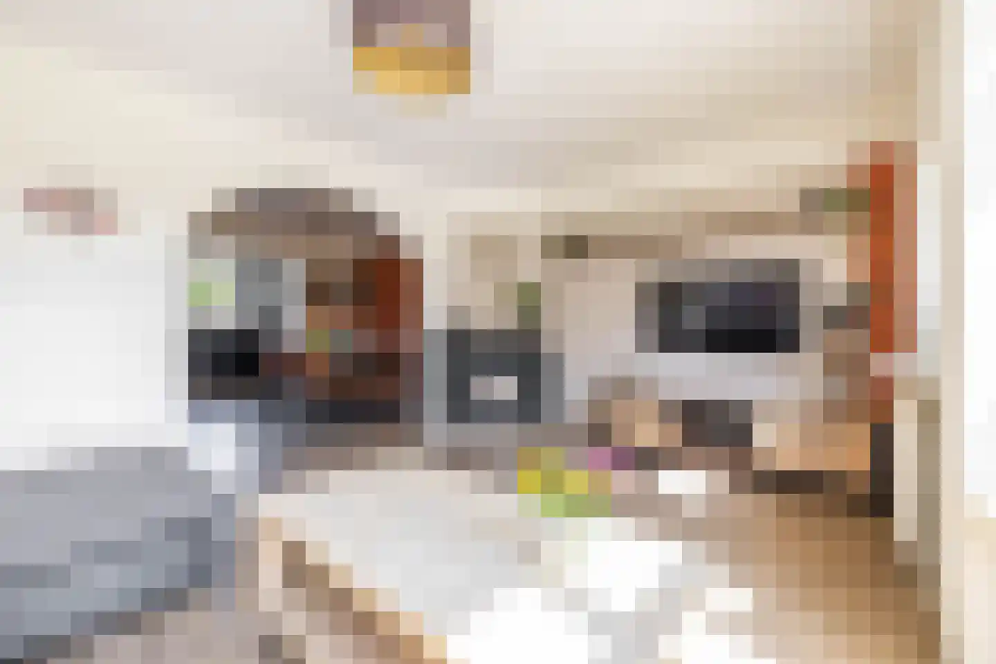Molenakkers 27 Annen thumbnail 16